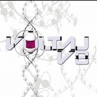 Voltaj - V8