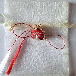 Broche met lieveheersbeestje