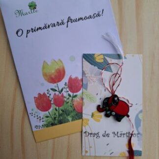 Broche olifant roze met zwart